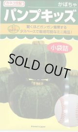 画像: 送料無料　[かぼちゃ]　ミニカボチャ　パンプキッズ　100粒　カネコ種苗（株）