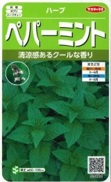 画像: [ハーブの種]　ペパーミント　約1300粒　サカタのタネ　実咲