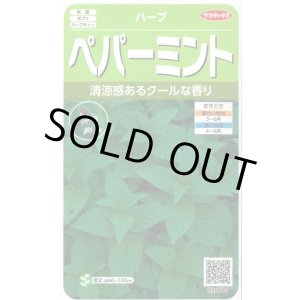 画像: 送料無料　[ハーブの種]　ペパーミント　約1300粒　(株)サカタのタネ　実咲（003190）