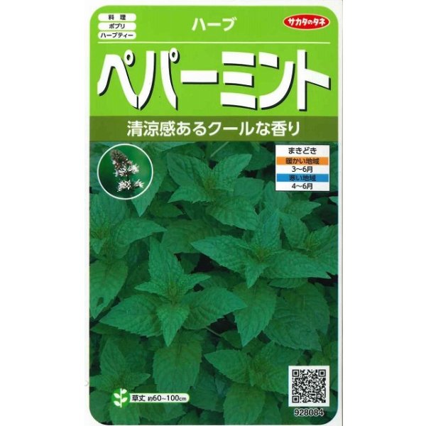 画像1: 送料無料　[ハーブの種]　ペパーミント　約1300粒　(株)サカタのタネ　実咲（003190） (1)