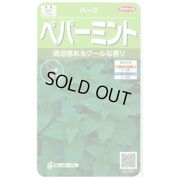 画像1: 送料無料　[ハーブの種]　ペパーミント　約1300粒　(株)サカタのタネ　実咲（003190） (1)