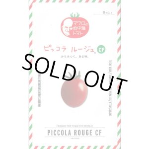 画像: 送料無料　[ミニトマト]　ピッコラルージュCF　100粒　サナテックシード（株）