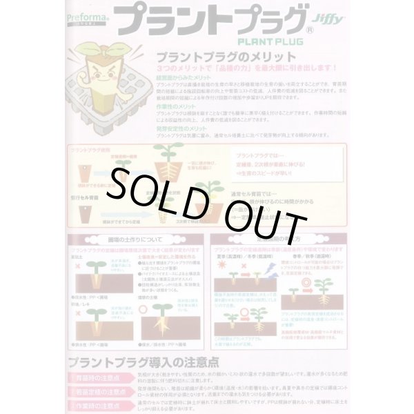 画像3: 接木・生産資材　プラントプラグ　406穴　Jiffy (3)
