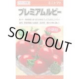画像: 送料無料　[トマト/ミニトマト]　プレミアムルビー　11粒　カネコ種苗（株）