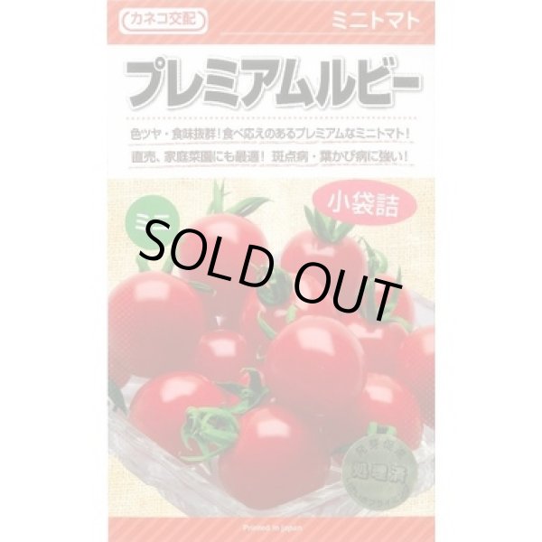画像1: 送料無料　[トマト/ミニトマト]　プレミアムルビー　11粒　カネコ種苗（株） (1)