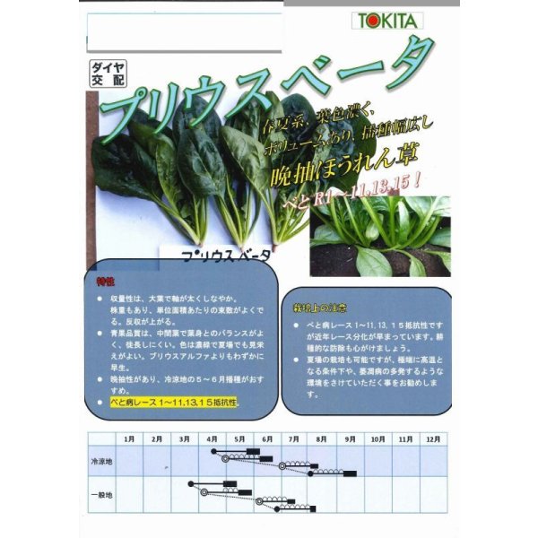 画像2: 送料無料　[ほうれんそう]　ほうれんそう　プリウスベータ　小袋(40ml)　トキタ種苗(株) (2)