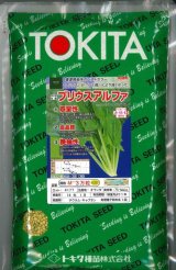 画像: ほうれんそう　プリウスアルファ　Ｍ3万粒　ダイヤ交配