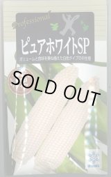 画像: 送料無料　[とうもろこし]　ピュアホワイトSP　200粒　雪印種苗（株）