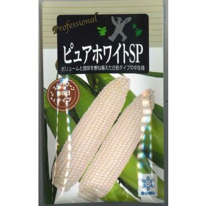 画像: 送料無料　[とうもろこし]　ピュアホワイトSP　200粒　雪印種苗