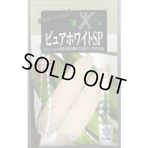 画像: 送料無料　[とうもろこし]　ピュアホワイトSP　200粒　雪印種苗（株）