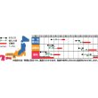 画像3: [レタス]　レッドウェーブ　約1200粒　サカタのタネ（株）　実咲300 (3)
