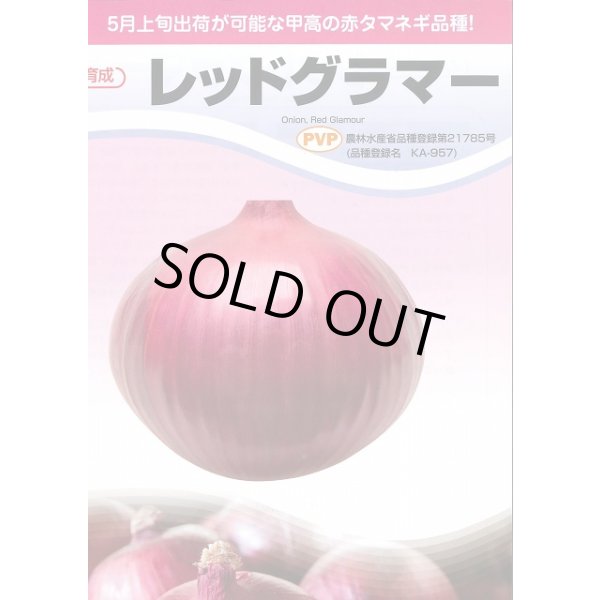 画像3: 送料無料　[たまねぎ]　レッドグラマー　20ml　カネコ育成 (3)