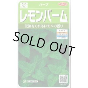 画像: 送料無料　[ハーブの種]　レモンバーム　約700粒　(株)サカタのタネ　実咲（003193）