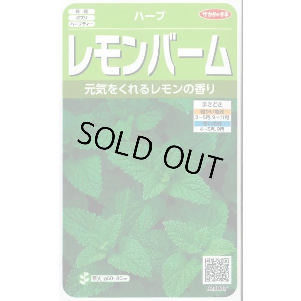 画像1: 送料無料　[ハーブの種]　レモンバーム　約700粒　(株)サカタのタネ　実咲（003193） (1)