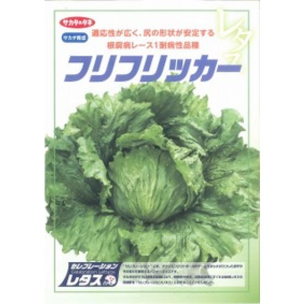 画像2: [レタス]　フリフリッカー　ペレット5000粒　（株）サカタのタネ (2)