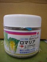画像: 送料無料　[レタス]　ロメインレタス　ロマリア　5000粒　ペレット種子　タキイ種苗(株)