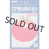 画像: 送料無料　[トマト/桃太郎系]　ＣＦ桃太郎はるか　1000粒　タキイ種苗(株)