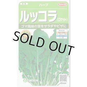 画像: 送料無料　[ハーブの種]　ロケット(ルッコラ)　約700粒　(株)サカタのタネ　実咲（003195）