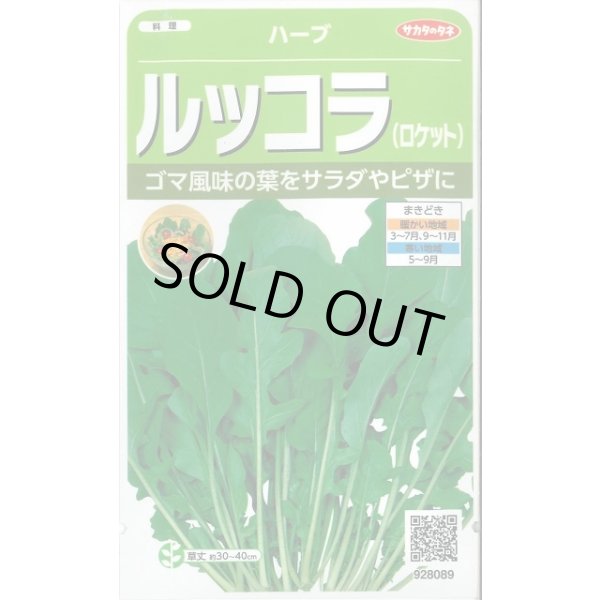 画像1: 送料無料　[ハーブの種]　ロケット(ルッコラ)　約700粒　(株)サカタのタネ　実咲（003195） (1)