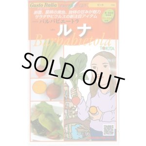 画像: 送料無料　[イタリア野菜]　ルナ　80粒　トキタ種苗(株)