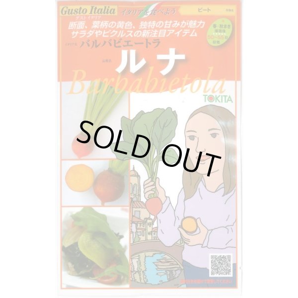 画像1: [イタリア野菜] ルナ 80粒 トキタ種苗(株) (1)