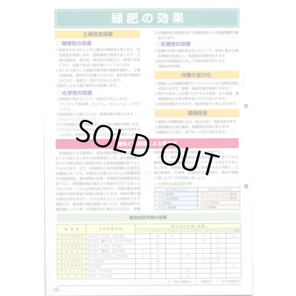 画像7: [緑肥]　ネマクリーン(マメ科)1kg　カネコ種苗(株) (7)