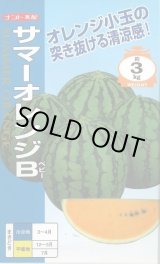 画像: 送料無料　[スイカ]　小玉スイカ　サマーオレンジB　7粒　ナント種苗(株)