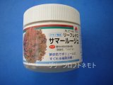 画像: [レタス]　リーフレタス　サマールージュ　ペレット5000粒　タキイ種苗