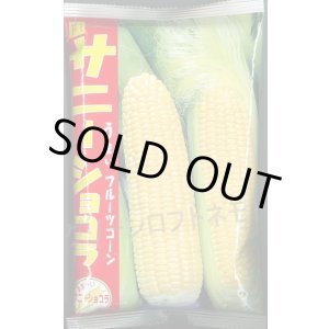 画像: [とうもろこし]　サニーショコラ　2000粒　ヴィルモランみかど（株）