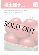 画像: 送料無料　[トマト/桃太郎系]　桃太郎　サニー　1000粒　	2L　ペレット種子　タキイ種苗(株)
