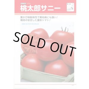 画像: 送料無料　[トマト/桃太郎系]　桃太郎　サニー　1000粒　	2L　ペレット種子　タキイ種苗(株)