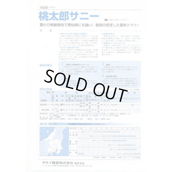 画像2: 送料無料　[トマト/桃太郎系]　桃太郎　サニー　1000粒　貴種(コートしてません)　タキイ種苗(株) (2)