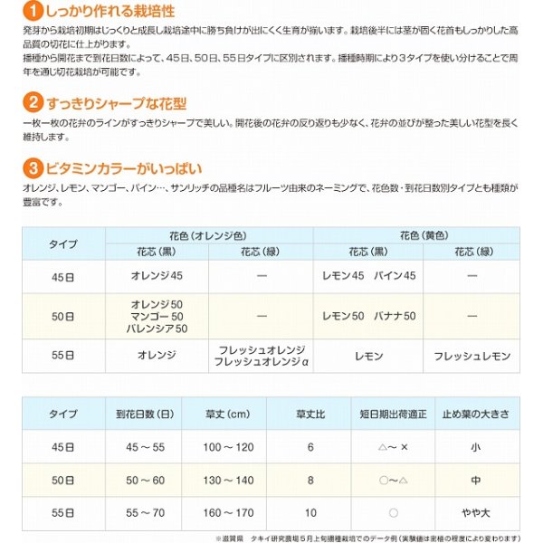 画像2: 花の種　ひまわり　サンリッチフレッシュミックス　小袋　タキイ種苗（株） (2)