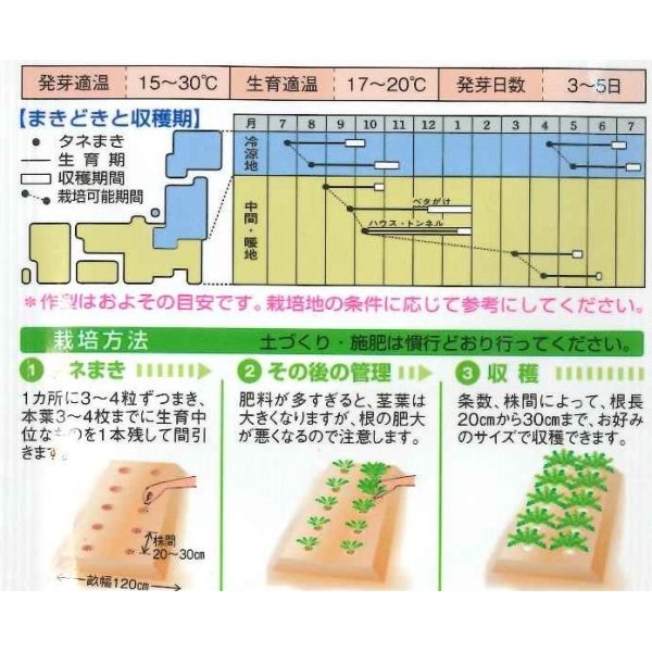 画像3: [大根]　三太郎　20ｍｌ　タキイ種苗（株） (3)