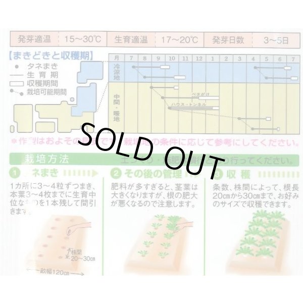 画像3: 送料無料　[大根]　三太郎　20ml　タキイ種苗(株) (3)