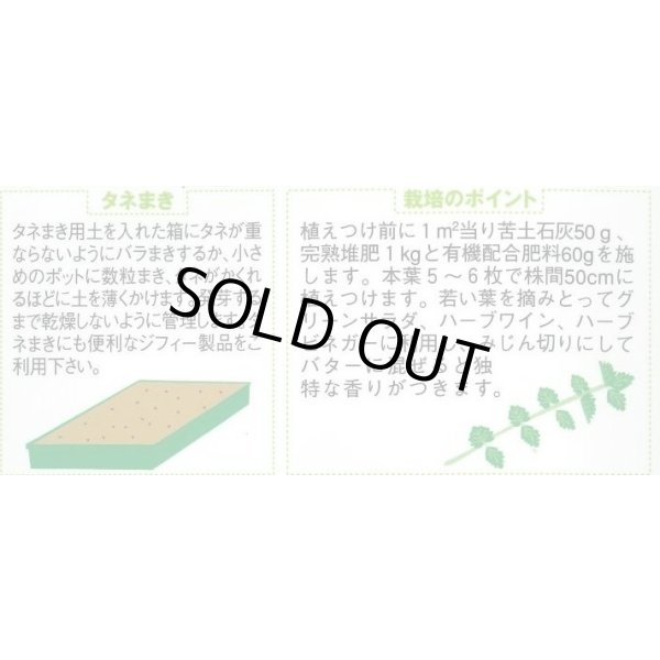 画像2: 送料無料　[ハーブの種]　サラダバーネット　約60粒　(株)サカタのタネ　実咲（003188） (2)