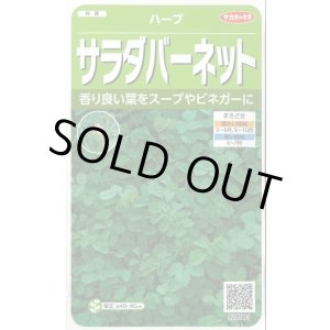 画像: 送料無料　[ハーブの種]　サラダバーネット　約60粒　(株)サカタのタネ　実咲（003188）