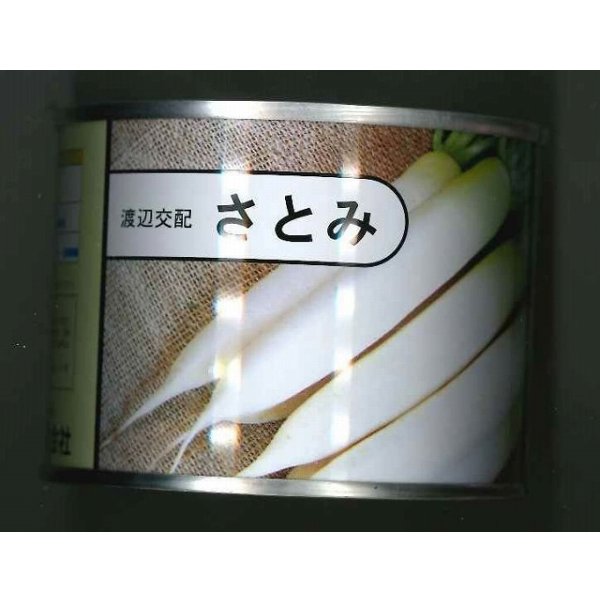 画像1: 大根　さとみ大根　2dl　渡辺農事（株） (1)