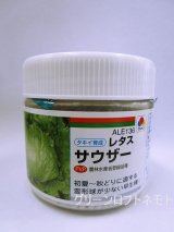 画像: [レタス]　サウザー　ペレット5千粒　タキイ種苗(株)
