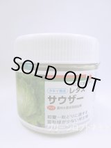 画像: [レタス] サウザー ペレット種子　 L 5千粒 タキイ種苗(株)