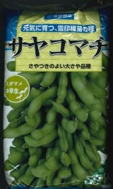 画像: [枝豆]　サヤコマチ　1L　雪印種苗(株)