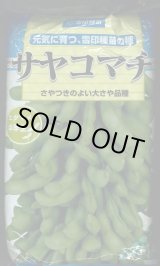 画像: [枝豆]　サヤコマチ　1L　雪印種苗(株)