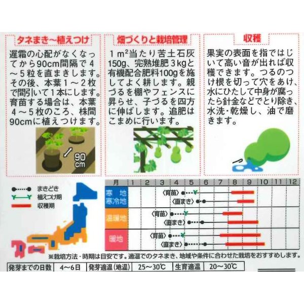 画像2: [その他]　千成ひょうたん　約40粒  （株）サカタのタネ　実咲200 (2)