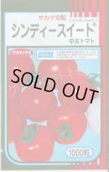 画像: 送料無料 [トマト/中玉トマト] シンディースイート 1000粒 (株)サカタのタネ