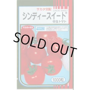 画像: 送料無料 [トマト/中玉トマト] シンディースイート 1000粒 (株)サカタのタネ