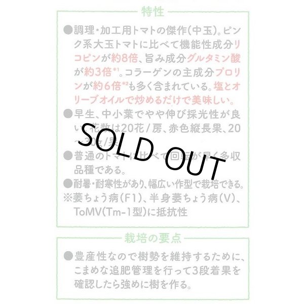 画像4: 送料無料　[ミニトマト]　シシリアンルージュ　100粒　サナテックシード（株） (4)