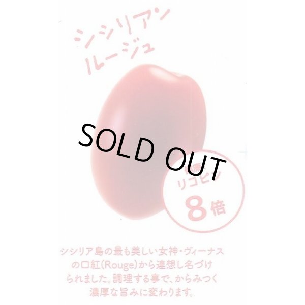 画像5: 送料無料　[ミニトマト]　シシリアンルージュ　100粒　サナテックシード（株） (5)