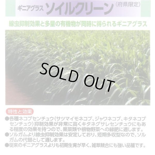 画像3: [緑肥]　ソイルクリーン　1kg　雪印種苗(株) (3)