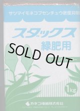 画像: [緑肥]　ソルガム　スダックス緑肥用（イネ科）　1ｋｇ　カネコ種苗(株）