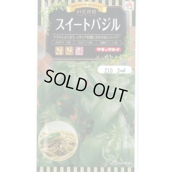 画像1: 送料無料　[ハーブの種]　スイートバジル　3ml　タキイのタネ (1)